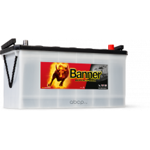 batterie BANNER PL/TP Buffalo bull 60026 12V 100AH 600A