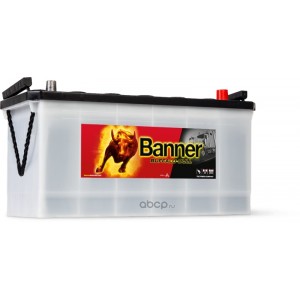 batterie BANNER PL /TP Buffalo Bull 60026 12V 100AH 600A 