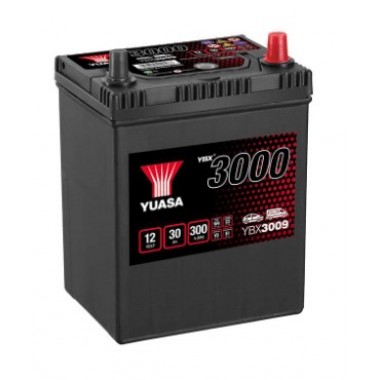 Batterie YBX3009